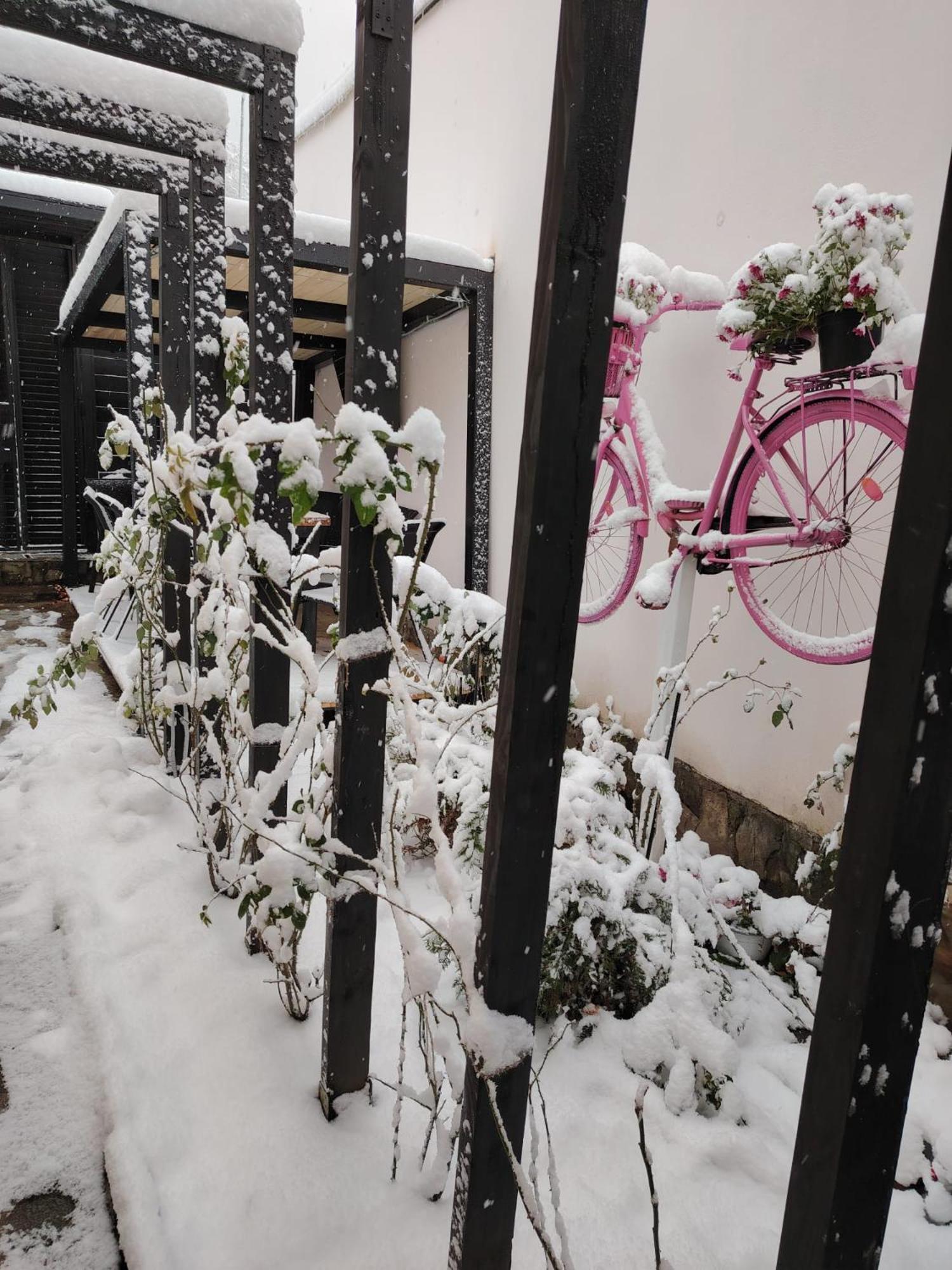 Hotel Casa Anne Boutique Brașov Exterior foto